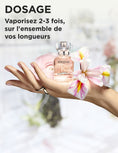 Load image into Gallery viewer, Duo Gloss Absolu Parfums pour cheveux & huile Glaze Drop