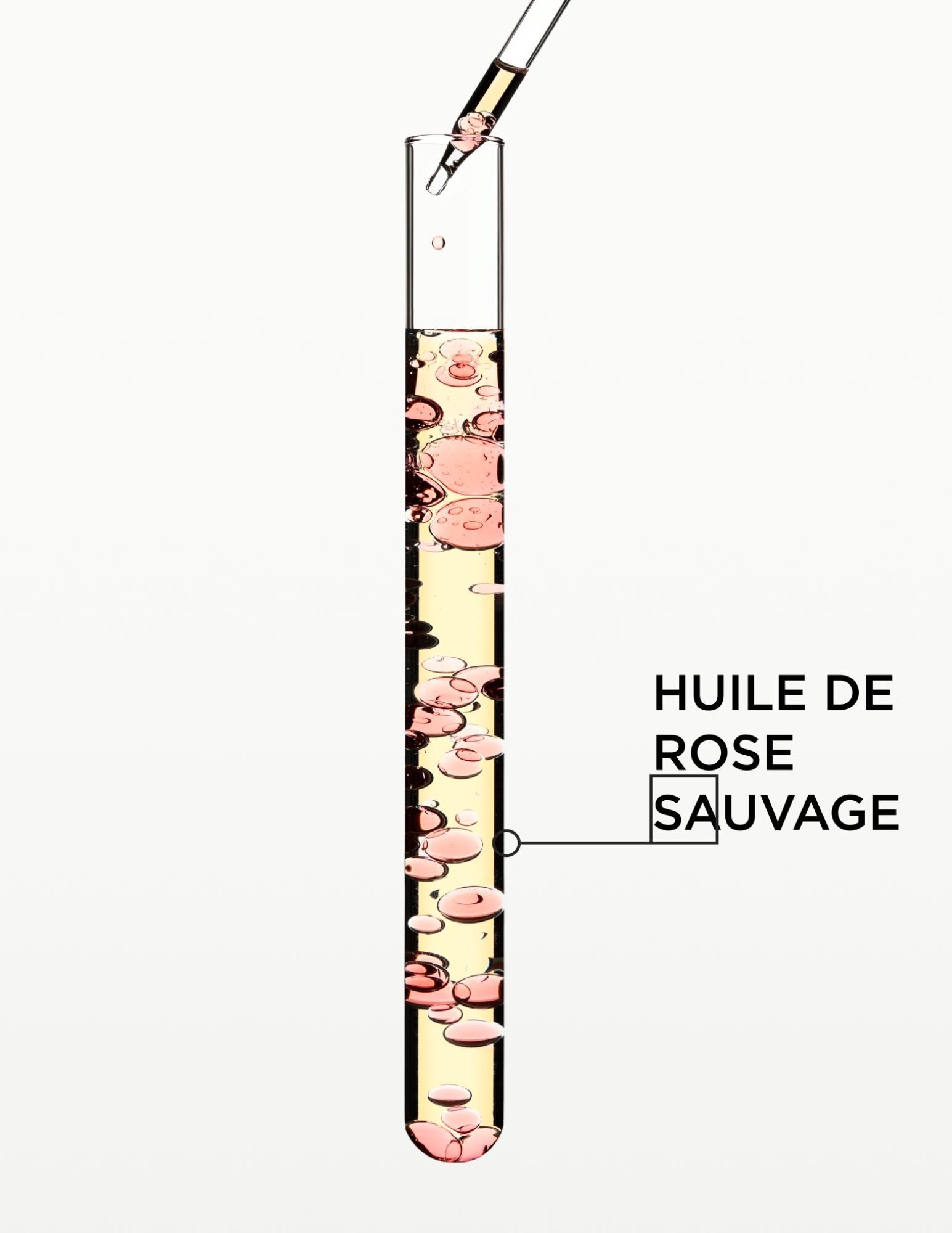 Duo Gloss Absolu Parfums pour cheveux & huile Glaze Drop