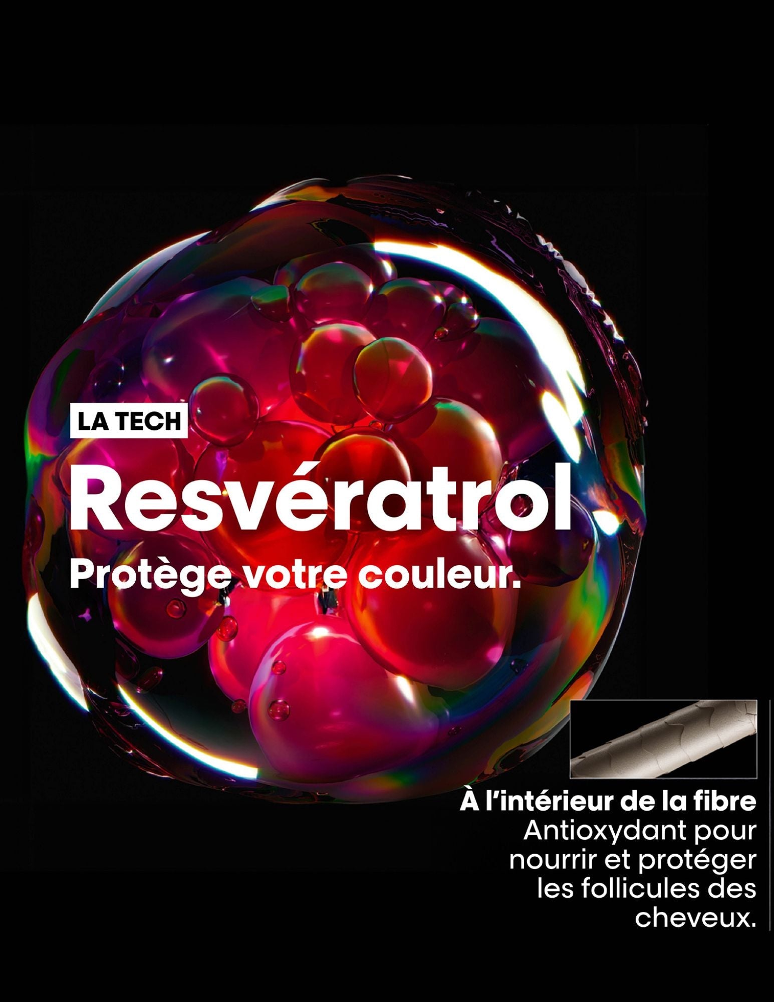 Coffret des fêtes - Vitamino Color