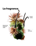 Load image into Gallery viewer, Coffret des fêtes - Absolut Repair Molecular
