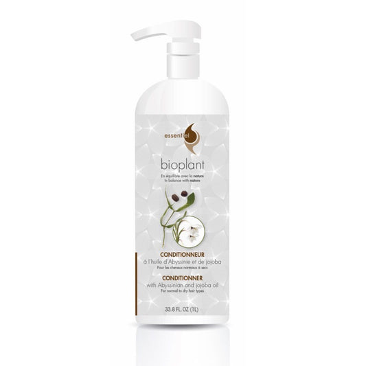 Abyssinian oil conditioner
